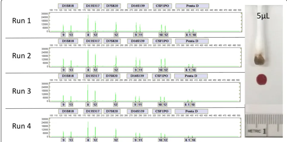 Fig. 5 Comparison of the alleles in the JOE dye channel for each of four 5 μl dried blood samples