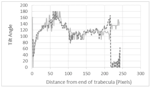 Figure 12.  Orientation profile of a sample trabecula shown in Figure 10 