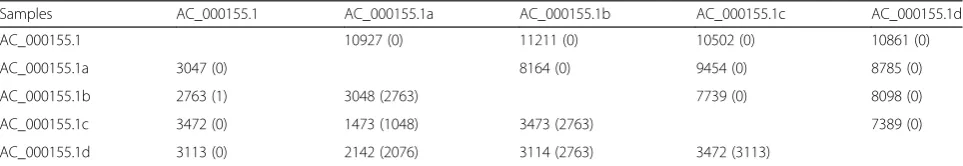 Table 3 Summary results of the number of identical, polymorphic and different STR loci among five samples after searching usingpSTR with 100 bp flanking sequences used as a reliability test