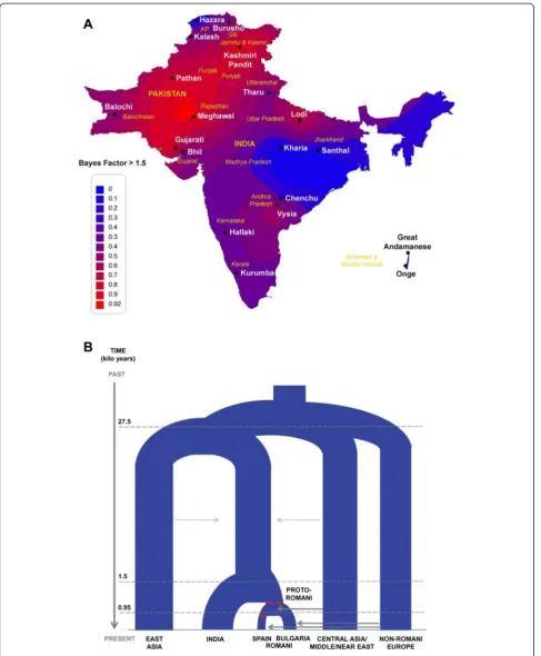 Figure 3 Origins and history of the Romani, based on demographic inferences from genome-wide SNP data