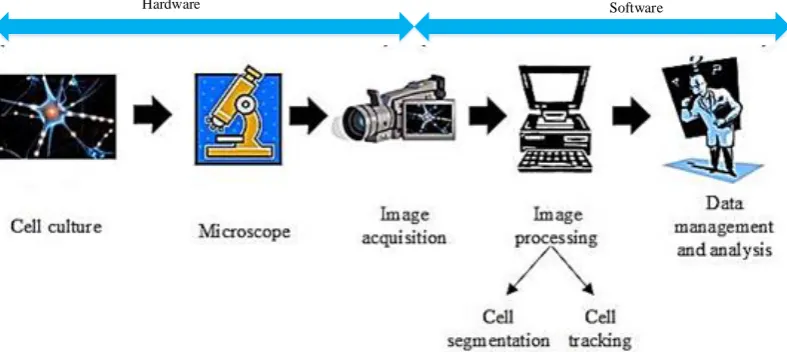 Figure 2.6.  