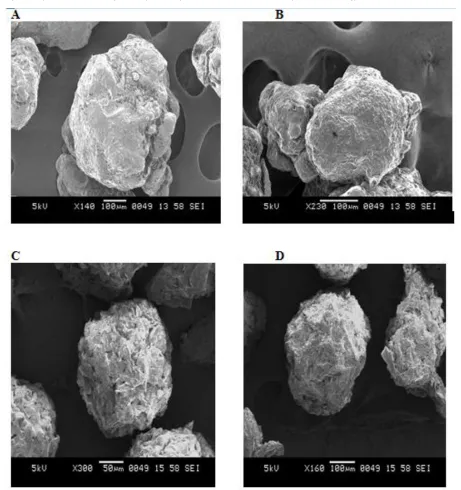 Figure 2: A - Scanning Electron Microscope Photographs of Formulation F1, B - Formulation F3, C - Formulation F5 and D - Formulation F6 
