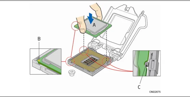 Figure 12 to align your fingers with the socket finger cutouts.  Make sure that the  processor Pin 1 indicator (gold triangle) is aligned with the Pin 1 chamfer on the  socket (Figure 12, B) and that the notches on the processor align with the posts on  th