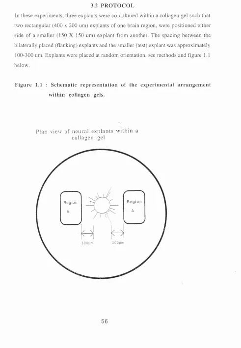 Figure 1.1 : Schematic representation of the experimental arrangement 