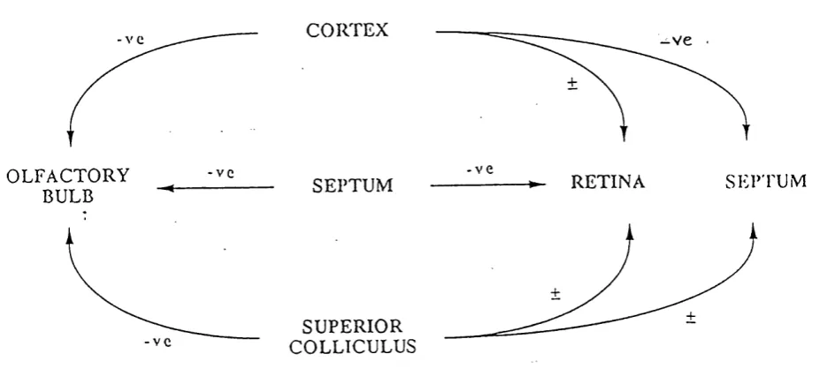 FIGURE 1.6- V CCORTEX