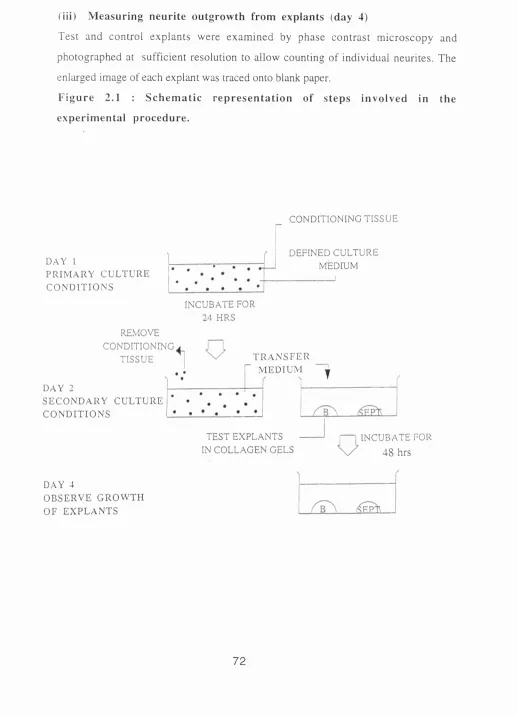 Figure 2.1 : Schematic representation of steps involved in the