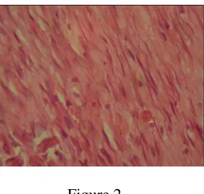 Table 1: Effect of Vedic Heal and Framycetin Skin Cream on period of epithelization and wound contraction in excision wound model and breaking strength in incision wound model