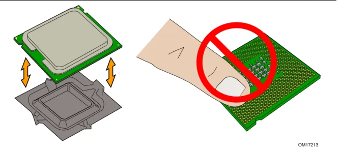 Figure 9.  Remove the Processor from the Protective Processor Cover/Do Not Touch 