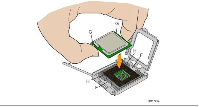 Figure 10.  Install Processor 