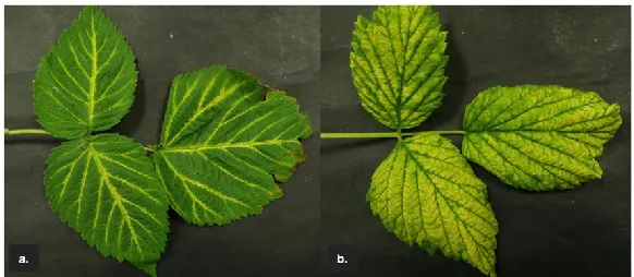 Figure  2.  