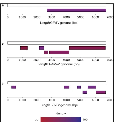 Figure  3.  