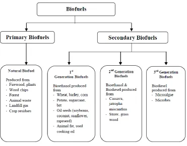 Figure 2.1: Biofuel production sources (Dragon et al., 2012). 