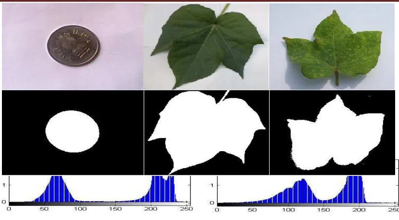 Figure 2.Histogram for Normal & Deficient leaf. 