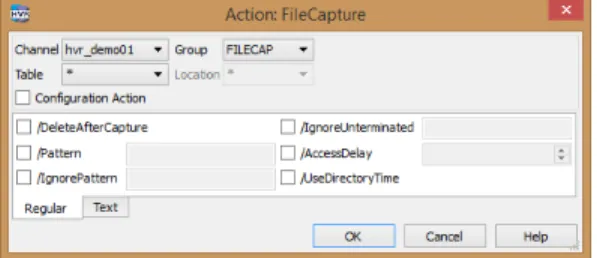 Figure 3 Action FileCapture 
