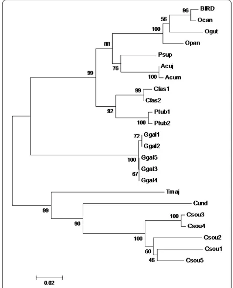Figure 2 Neighbor-joining tree of species that could likely havebeen consumed at the seizure region and MAM1 and MAM2meat samples, based on the cyt-b molecular marker.