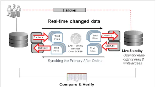Figure 4 Oracle GoldenGate offers immediate failover to a hot standby system, which is open for read-only, or read/write activities 