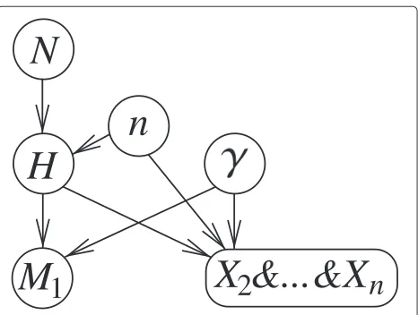 Figure 4 Expanded representations of a Bayesian network for assessing a single ‘hit’ in a database of reduced size.nodes shown in expanded form) for evaluating a correspondence between the proﬁle of a suspect and that of a crime stain, as deﬁned earlier in