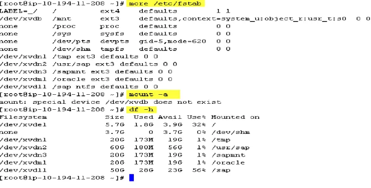 Figure 17 - Modify and mount /etc/fstab 