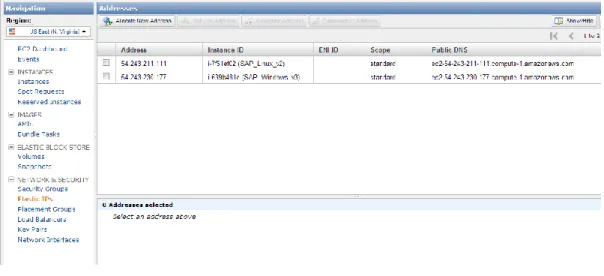 Figure 18 - Elastic IP 
