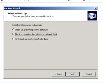 Figure 4-2 Backup or Restore Wizard screen