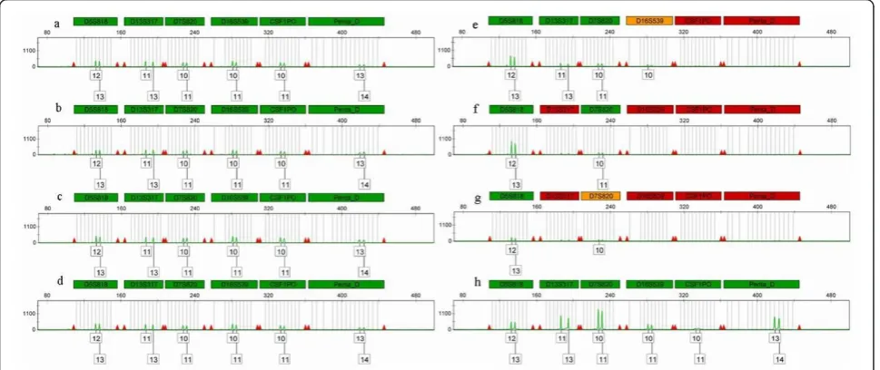 Figure 2 Autosomal markers on green channel (PowerPlex16). Electropherograms of autosomal markers on green channel for PowerPlex16panel for different samples