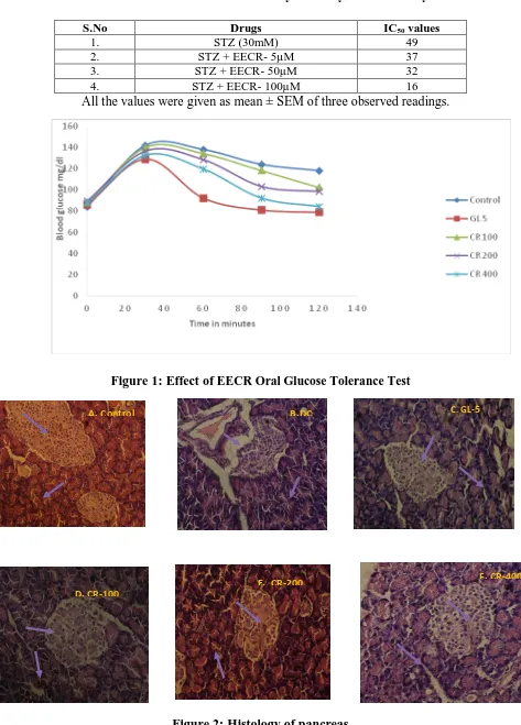 Figure 2: Histology of pancreas 