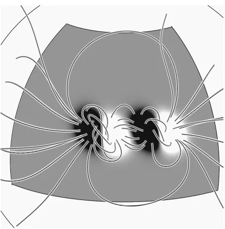 Figure 1. Conﬁguration of the magnetic ﬁeld after 19 days of evolution using the model ofMackay and van Ballegooijen (2006a)