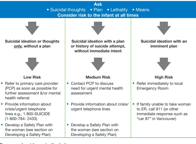 Table 12: General Responses to Identified Suicide Risk