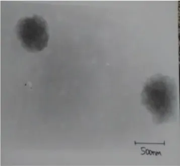 Figure 9: Transmission Electron Microscopy 