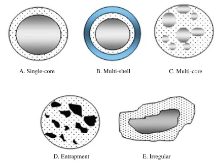 Figure 2.8: The five main structural forms of microcapsules [65] 