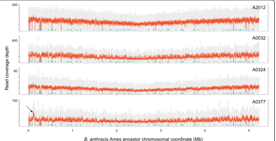 Table 1 B. anthracis SOLiD™ system sequencing statistics