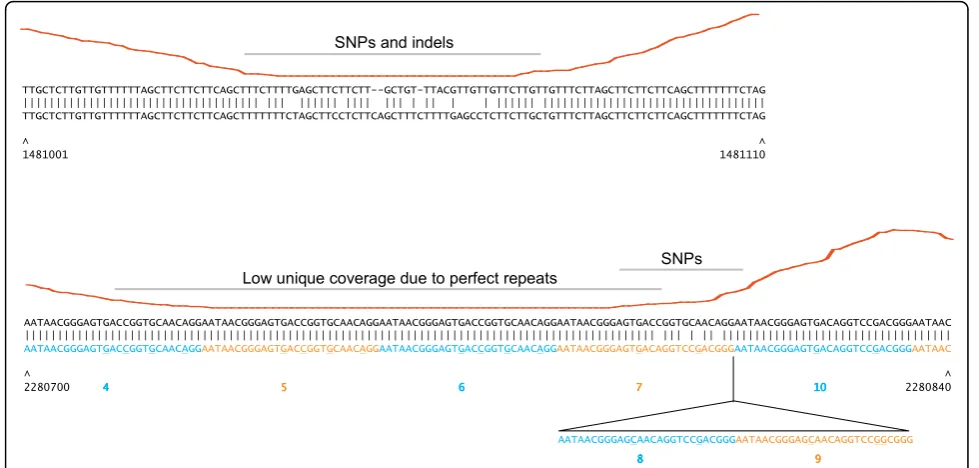 Figure 2 Details ofversus Ames ancestor (bottom line). Red line indicates coverage depth of uniquely mapping A2012 SOLiDSterne chromosomal coordinates are given below the alignment