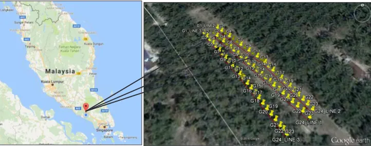 Figure 1. Study area and seismic spread lines performed at site studied. 