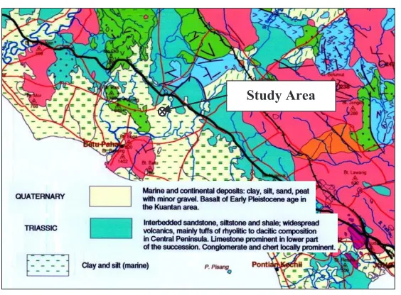 Figure 2. Study area and seismic spread lines performed at site studied [19]. 