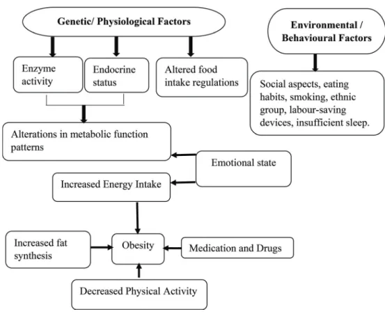 Figure 6. Possible causes of obesity. Source: La Berge [108].