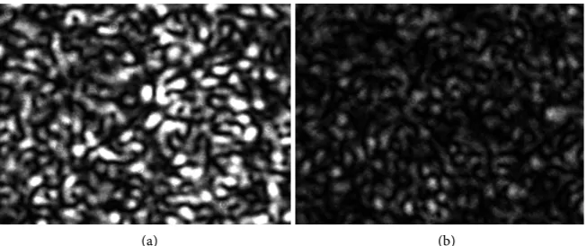 Figure 5(a) & minating aperture of diameter 0.4 mm for transparent rough surface of average roughness heights 1.98 μm and 7.6 μm, respectively