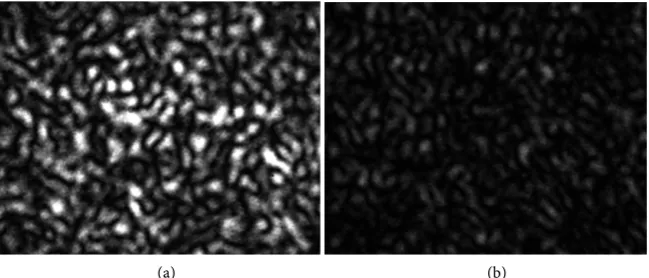 Figure 7. Speckle patterns for square aperture of side length 0.4 mm and roughness; (a) Ra = 1.98 μm and (b) Ra = 7.6 μm