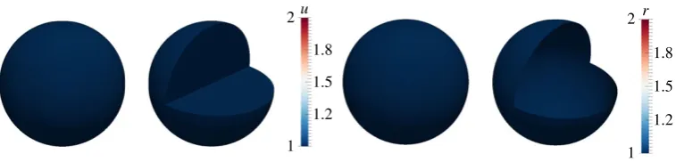Figure 1. Example meshes for the bulk (a) and surface system (b). Part of the domain has been cut away and shown on theright to reveal some internal mesh structure