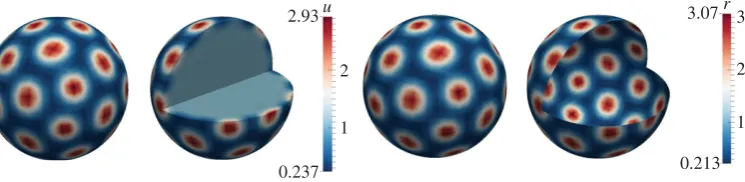 Figure 4. Numerical solutions corresponding to the coupled system of BSRDEs (2.1)–(2.5) withrepresentingpatterning occurs in the bulk exhibiting spots, stripes and circular patterns