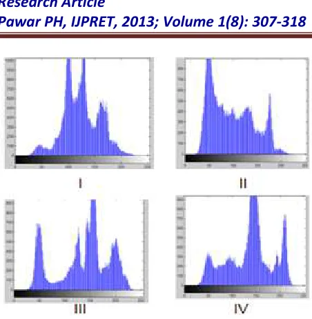 Fig. 3 Histogram of each block 