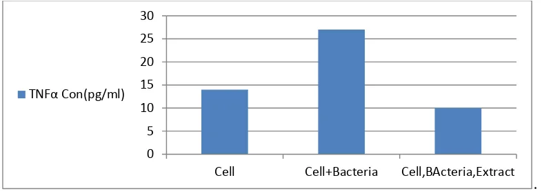 Figure 2.TNF-α were measured by ELISA method in the presence and absence of the extract.Values represent the means of culture  supernatants collected from triplicate wells.Infection of dU937 cells by M.tuberculosis increased production of TNF-α significantly (p<0.05) and it was decreased significantly after treatment with the extract (p<0.05) 
