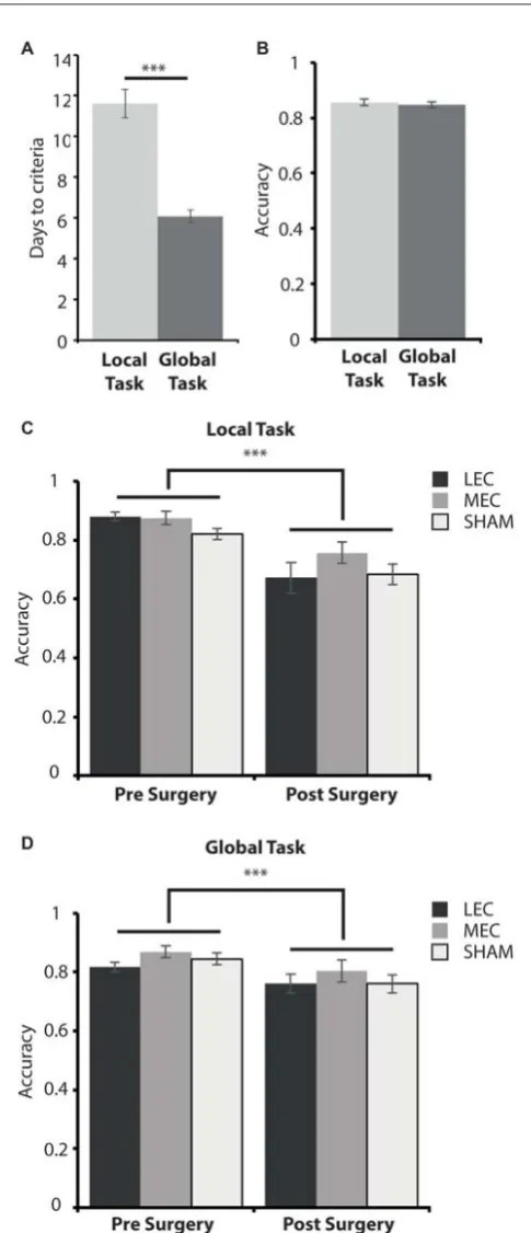 FIGURE 4 | (A) Average days to criteria score on the local and global taskduring the training phase, pre-surgery