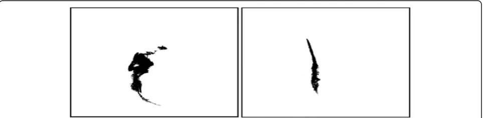 Fig. 8 MODIS preprocessing image (the left is the April 19, 2010, image, and the right is the May 11, 2010, image)
