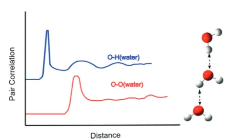 Fig. 6A schematic representation of PCF for liquid water; water oxygen –water hydrogen (blue) and water oxygen – water oxygen (red).