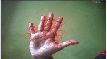 Figure 1.  Example of SIFT image detection  