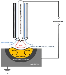 Figure 1.  Schematic diagram of GTAW process with negative surface tension temperature gradient 