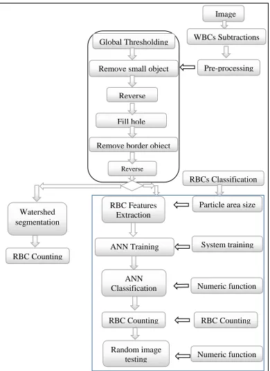 Figure 3.1: project framework  Random image  Numeric function 