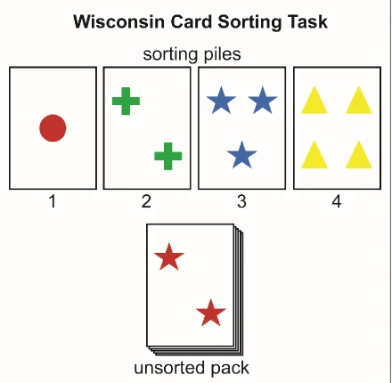 Figure 1.1: The WCST requires subjects to sort a response card from the unsorted pack to one of the four stimulus cards in the sorting piles; for example, the current card can be sorted based on colour (pile 1), number (2), or shape (3); image from Brown &
