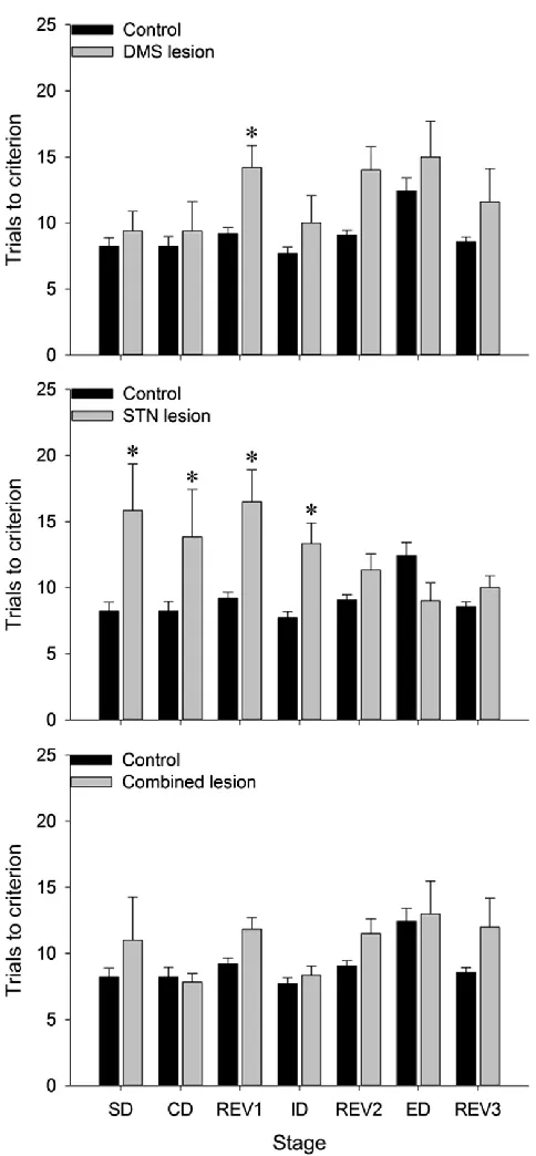Figure 1.6: Figure from Tait et al., 2016 illustrating the mean TTC (+SEM) for control rats compared to DMS lesioned (top graph), STN lesioned (middle graph) and combined STN+DMS lesioned (bottom graph) rats in each discrimination learning stage; *p<0.05 