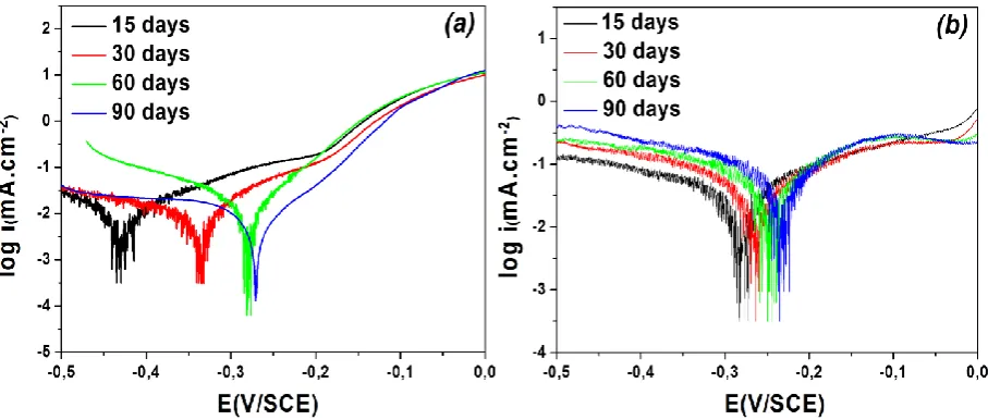 Figure 3: Evolution of polarization (log I = f (E) of alloys in 3% NaCl solution as a function of time immersion: (a) brass (b) cupronickel   